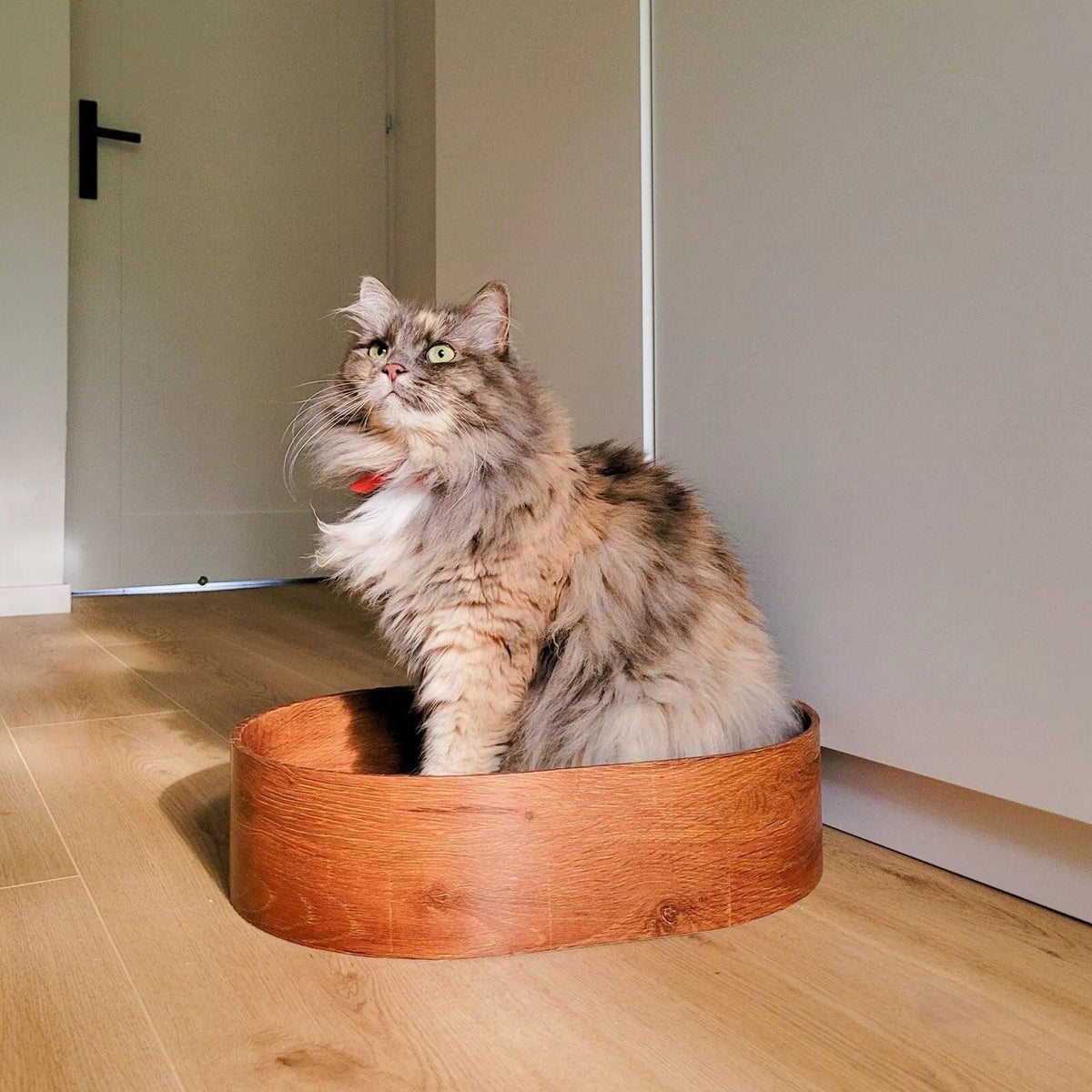 Cat Scratching Cardboard - 3 Replacacle board Corrugated Cardboard Scratch Pad