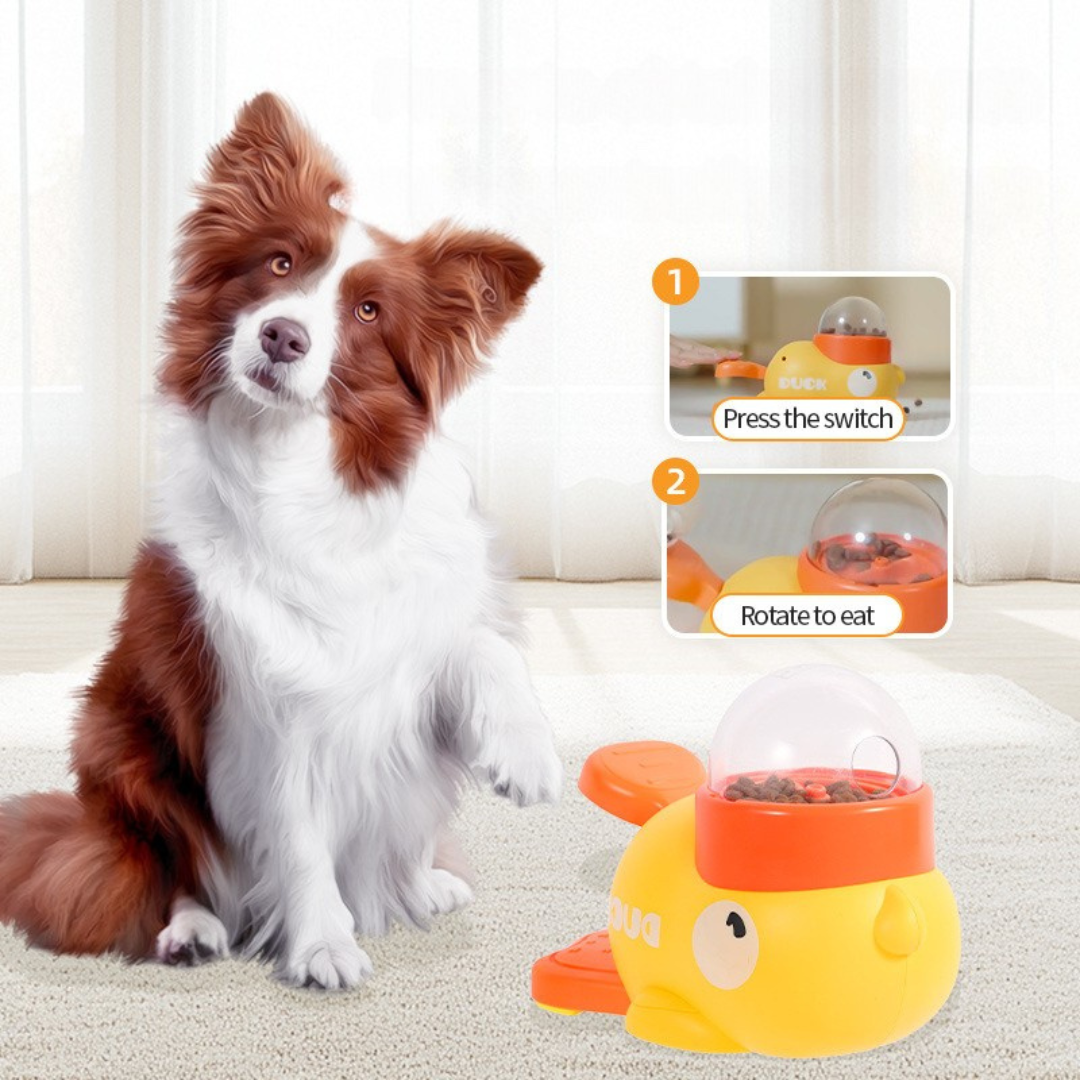 Interactive self-feeding dispenser for dogs