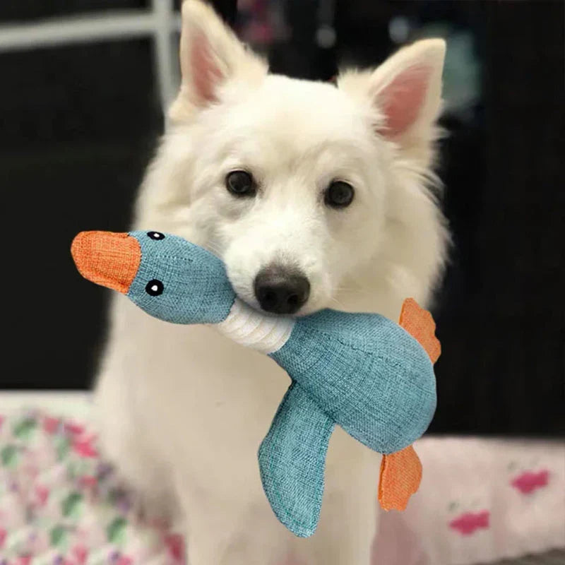 Dog Toy (1+1 FREE) – StarkGans