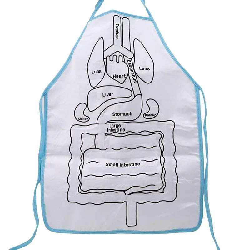 Apron – Learn About the Human Body Through Play