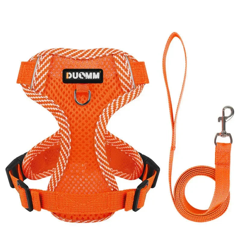 Reflective Dog Harness and Leash Set for Small Dogs – SafeStep
