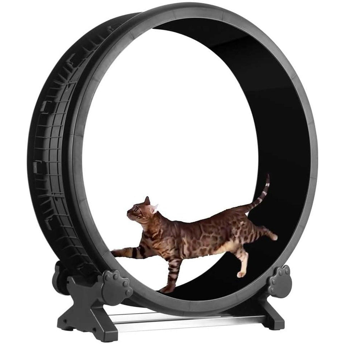 Cat Fitness & Travel Duo – 7th Gen Cat Treadmill Wheel & Pet Astronaut Travel Backpack