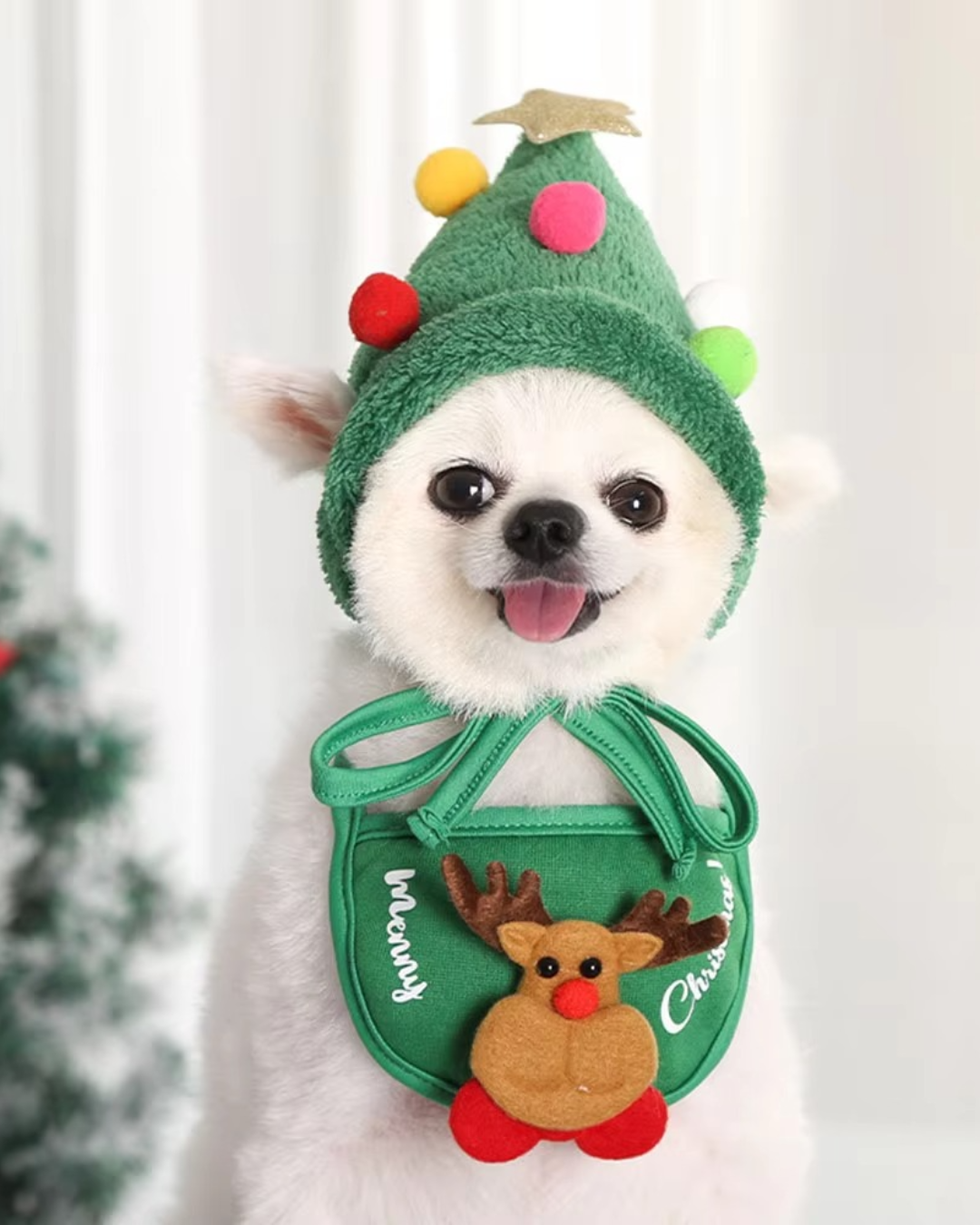 Christmas outfits for dogs