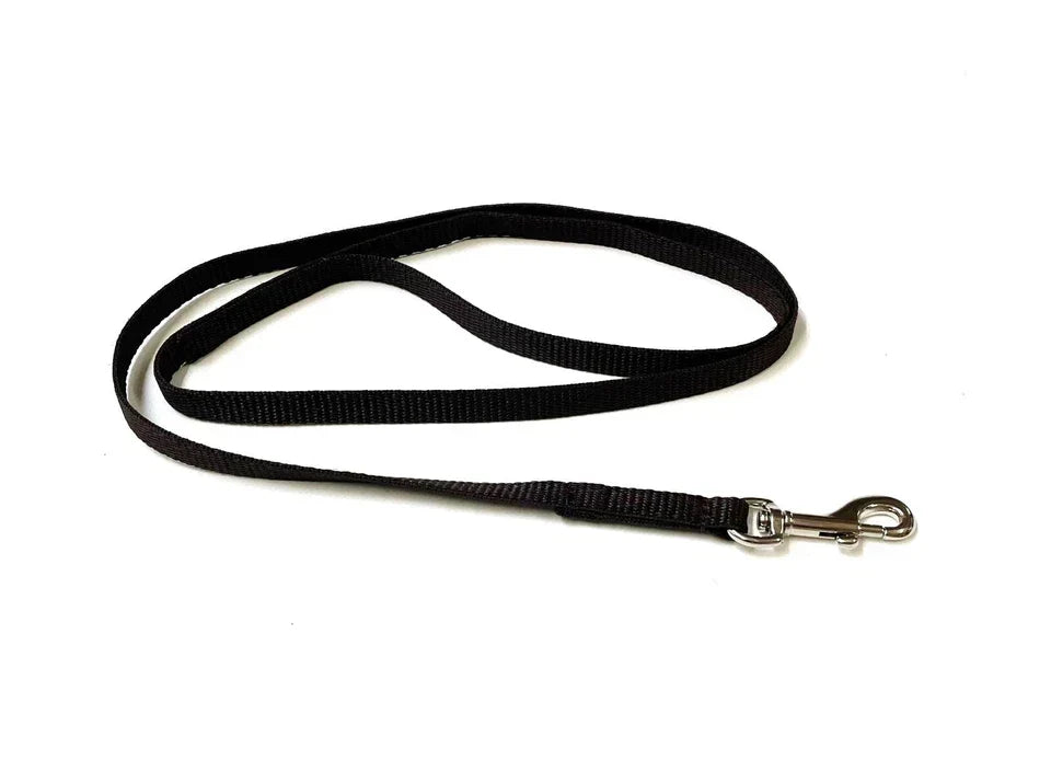 Dog Running Leash - 45" Puppy Small Dog Walking Lead 13mm Wide Strong Durable Webbing