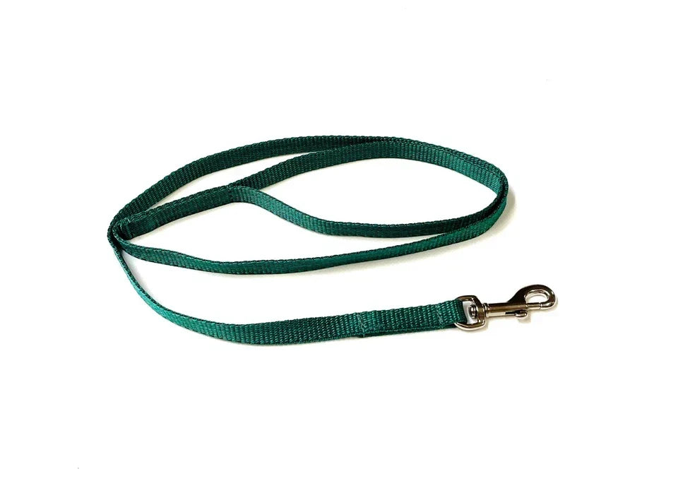 Dog Running Leash - 45" Puppy Small Dog Walking Lead 13mm Wide Strong Durable Webbing