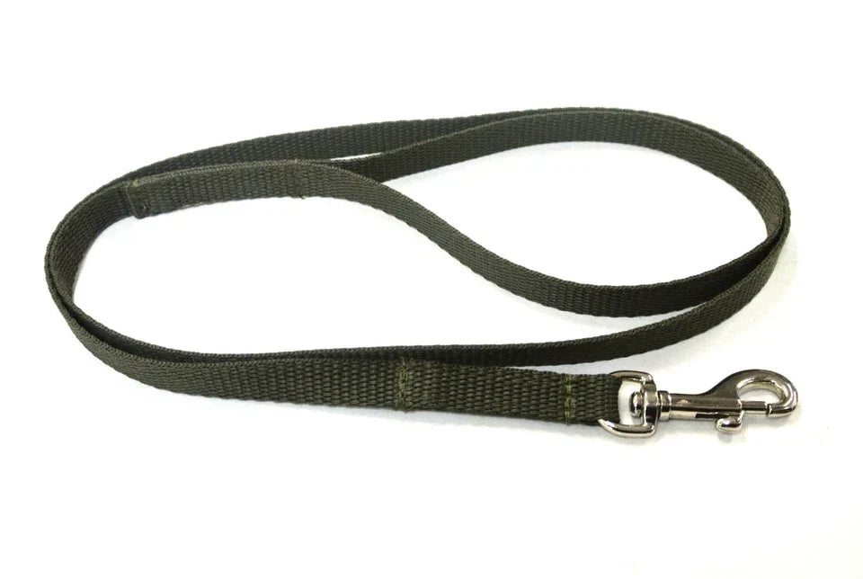 Dog Running Leash - 45" Puppy Small Dog Walking Lead 13mm Wide Strong Durable Webbing