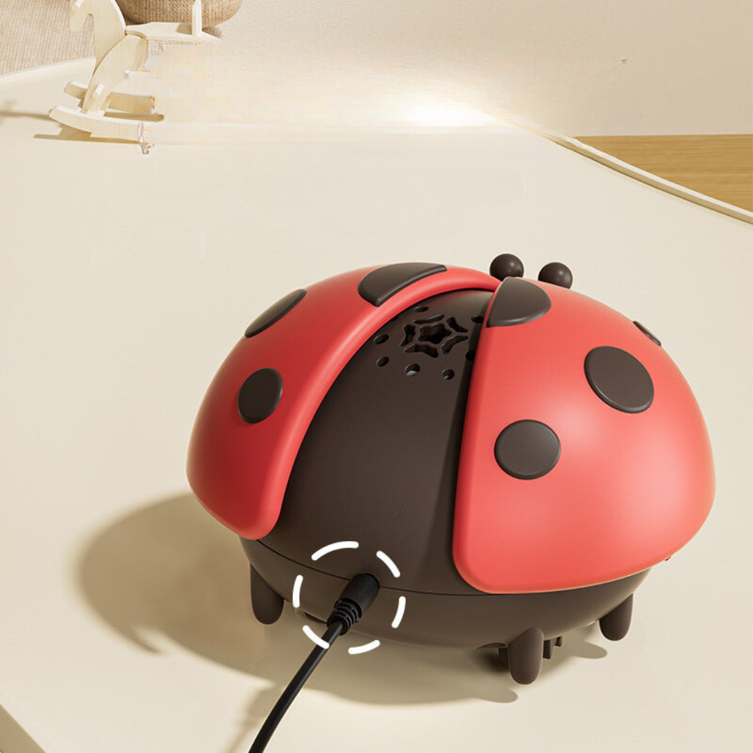Baby Ladybug Air Toy