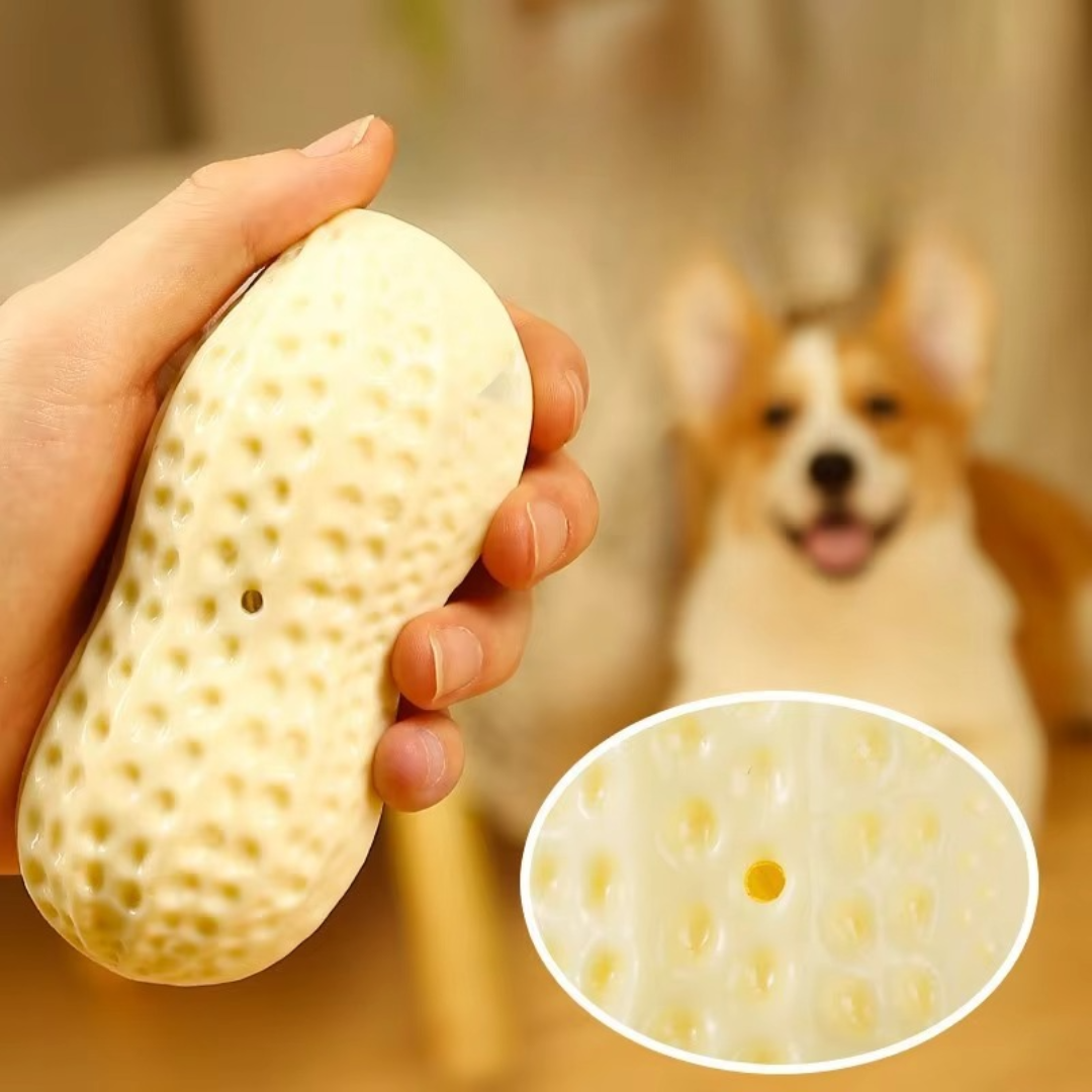 Durable squeaky peanut chew toy for dogs