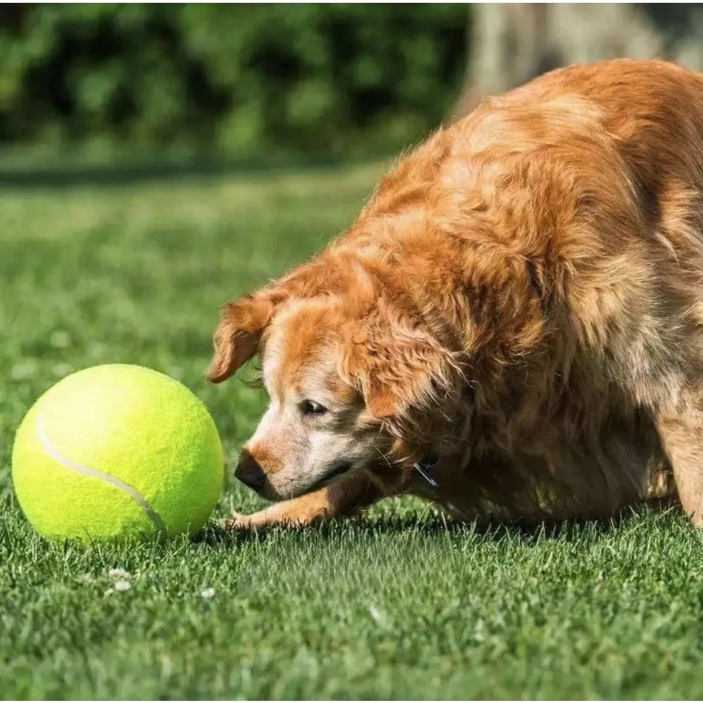 Durable Giant Tennis Ball Dog Toy