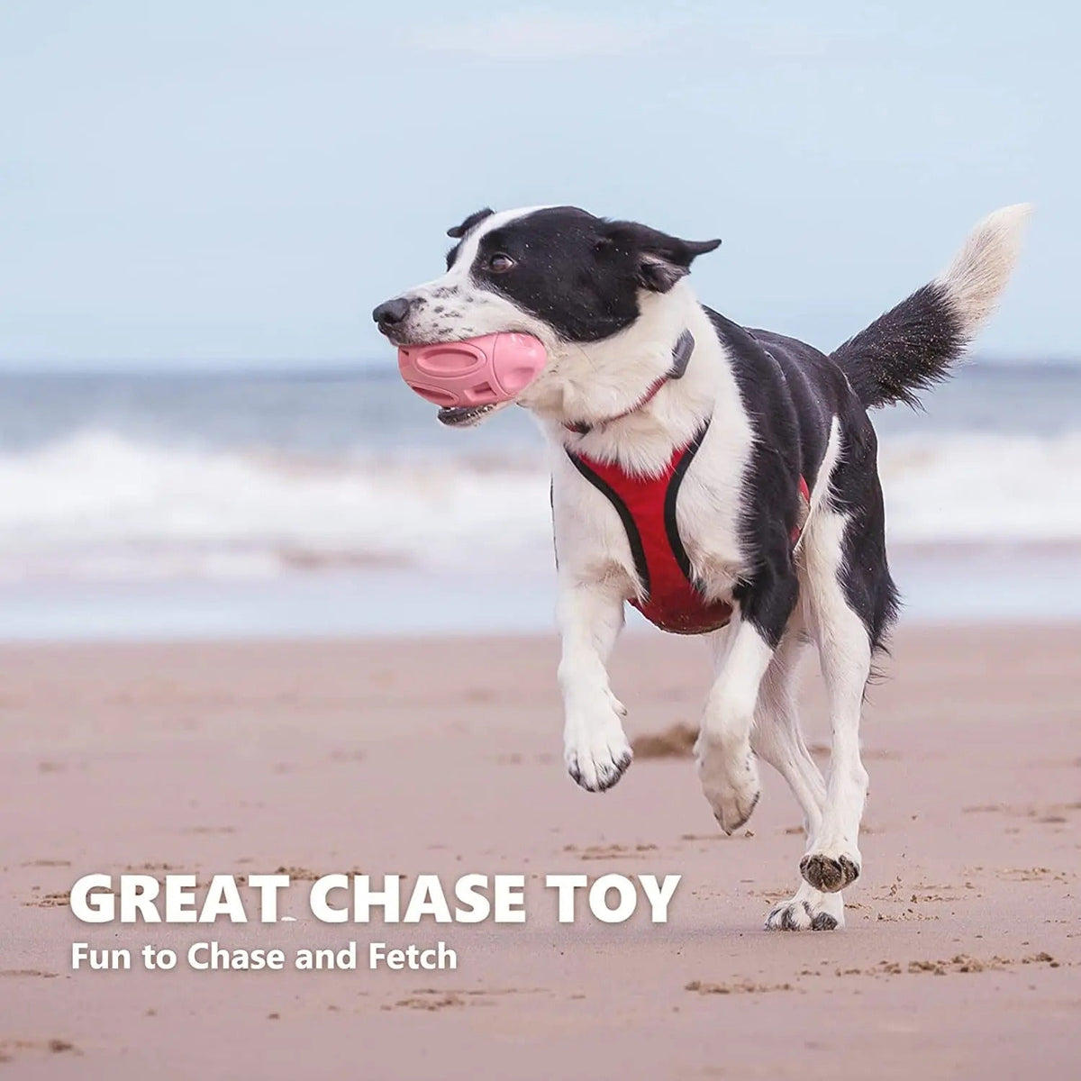 Squeaky Dog Toys for Aggressive Chewers