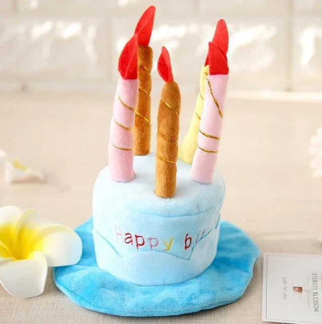 Pet Birthday Hat – PartyPaws