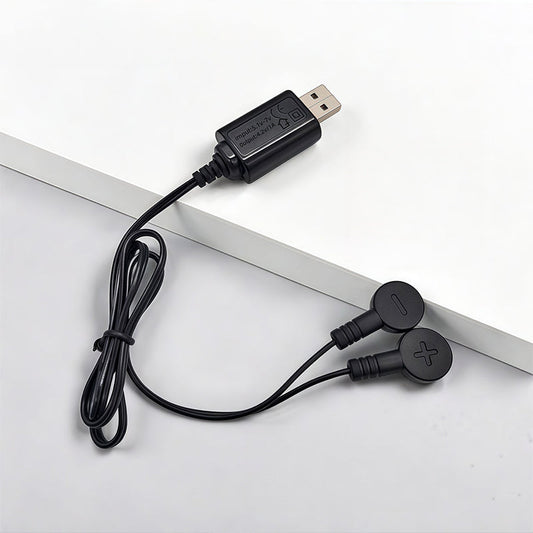Magnetic Battery Charger for Electric
