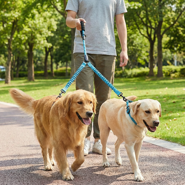 2-in-1 Double Dog Lead with 360° Swivel – Tangle-Free & Shock-Absorbing